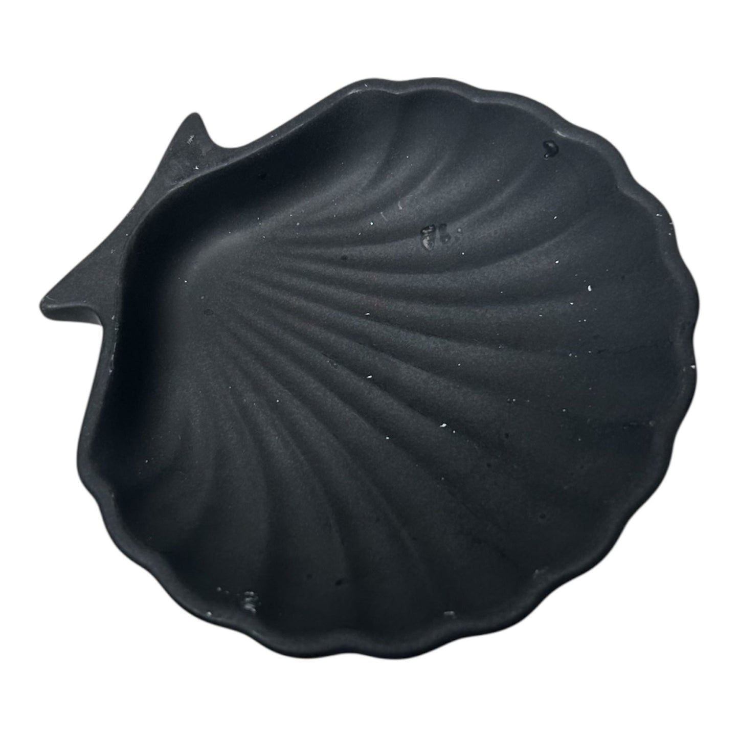 vide poche coquillage en Jesmonite